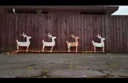 Reindeers with moving legs